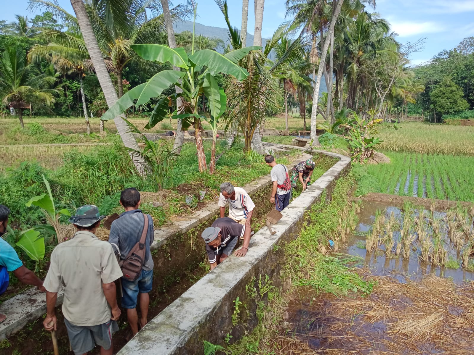 Embracing Community Spirit