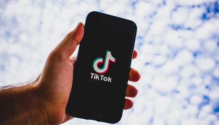 US TikTok Creators: The Economic Impact of a Potential Ban
