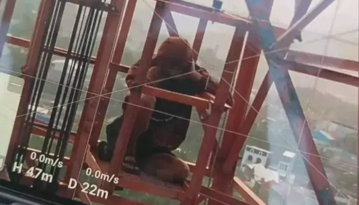 A Daring Drama in Sumedang: Young Man Scales BTS Tower, Allegedly Suffering from Stress