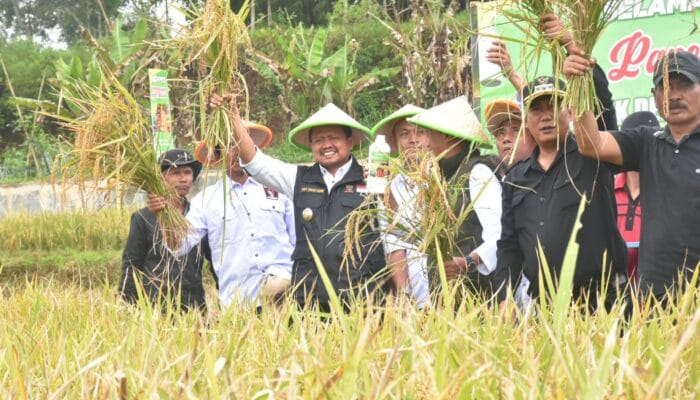 Bupati Dony: Pentahelix Bidang Pertanian Wujudkan Ketahanan Pangan Daerah
