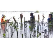 Momentum Hari Buruh, LindungiHutan Soroti Peran Komunitas untuk Konservasi Lingkungan