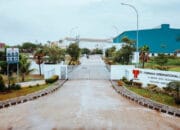 Solusi Berbasis Biomassa dari Thermax Dukung Dekarbonisasi Industri Indonesia