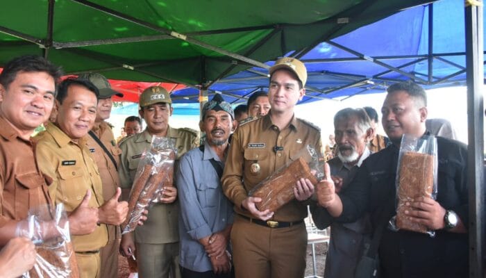 Harga Tembakau Anjlok, Pemda Sumedang Siapkan Kebijakan Pro-Petani Tanggap Darurat