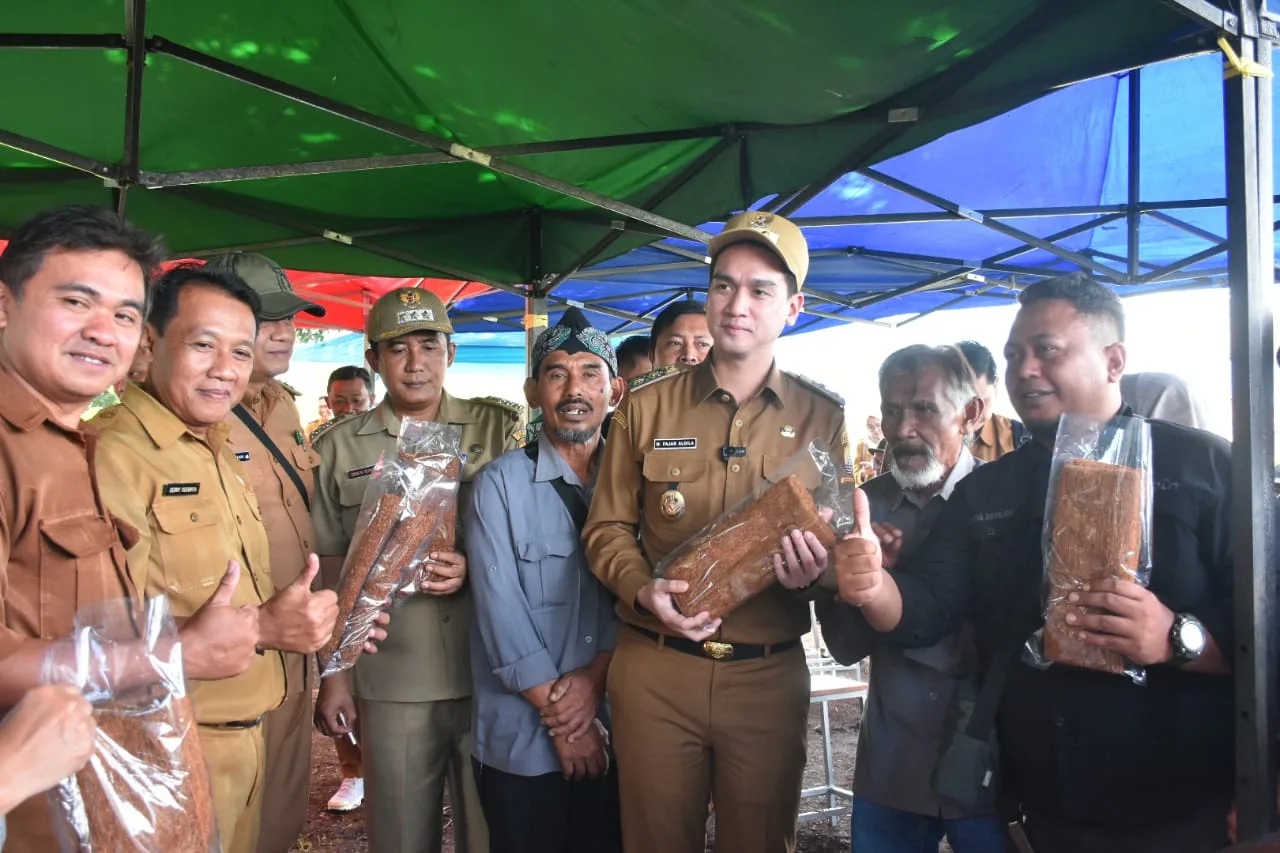 harga tembakau Sumedang anjlok