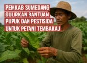 DPKP Sumedang Siapkan Bantuan Pupuk & Pestisida bagi Petani Tembakau