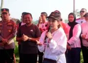 Rossa Borong Dagangan PKL di Geulis Sumedang, Warga Antusias