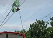 KAI Daop 1 Jakarta Imbau Masyarakat Tidak Bermain Layang-layang di Area Jalur Kereta