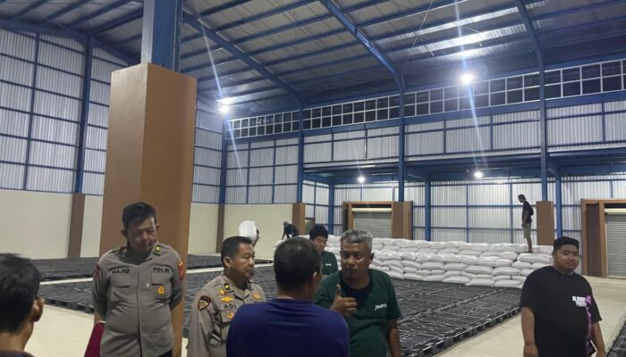 Polres Sumedang Nge-Gas Dukung Ketahanan Pangan: Panen Jagung 10 Ton, Langsung Disetor ke Bulog!