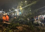 KRYD Polres Sumedang Sat Set Tangani Pohon Tumbang Timpa 3 Motor Dekat Lapas!​