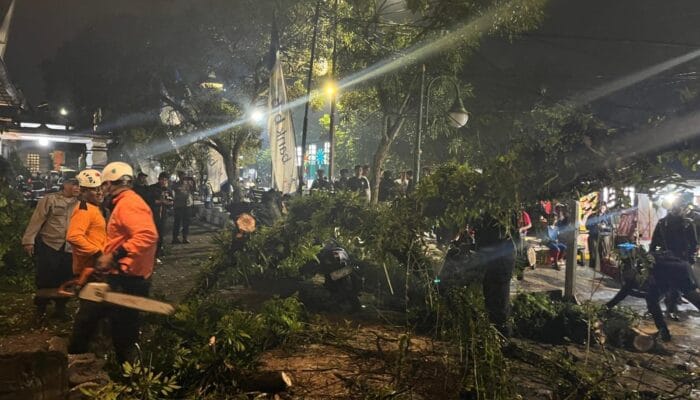 KRYD Polres Sumedang Sat Set Tangani Pohon Tumbang Timpa 3 Motor Dekat Lapas!​