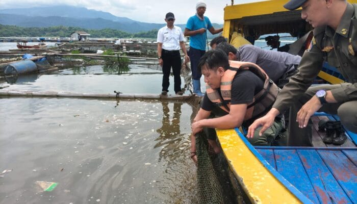 🐟 Sadar Diri! Petani KJA Jatigede Gercep Pembongkaran Mandiri
