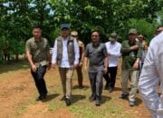 Perizinan Haurpapak Burujul Sanca