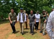 🌳 Good News! Ruli Aditya Apresiasi Wamenhut RI Gercep Perbaiki Jalur Terisolir Haurpapak–Burujul Sanca