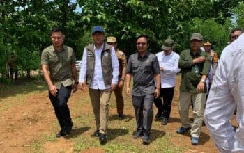 Perizinan Haurpapak Burujul Sanca