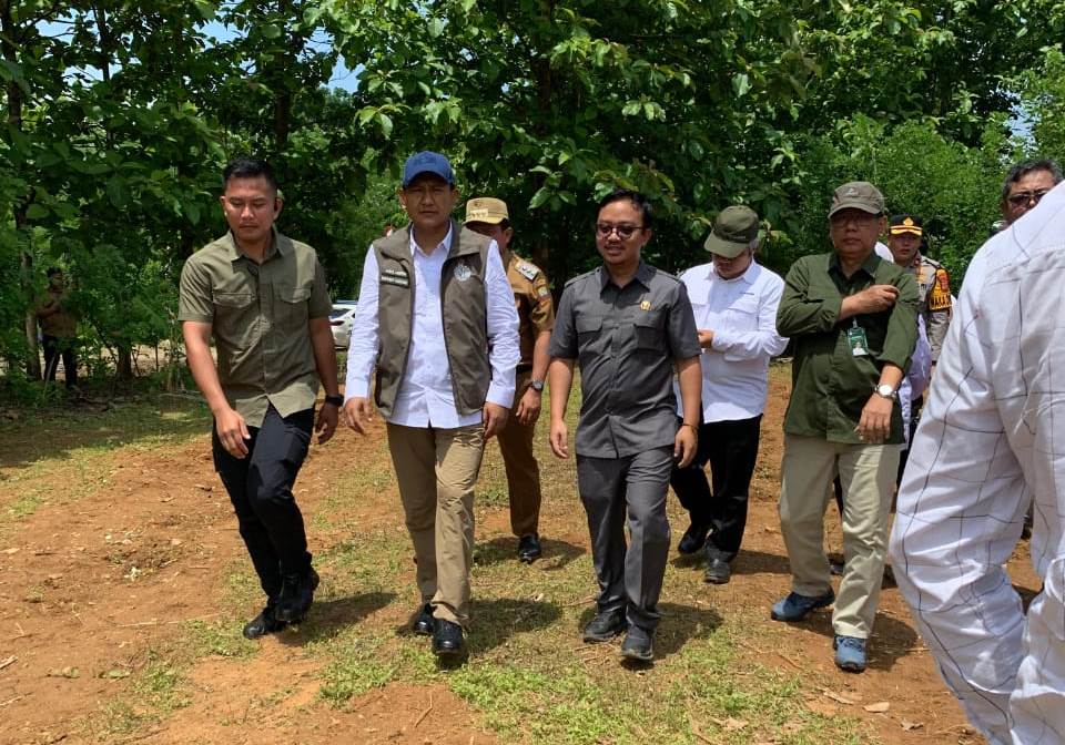 Perizinan Haurpapak Burujul Sanca