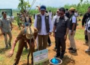 🌳 Good News! Ruli Aditya Apresiasi Wamenhut RI Gercep Perbaiki Jalur Terisolir Haurpapak–Burujul Sanca