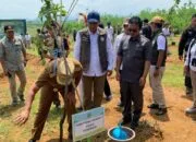 🌳 Good News! Ruli Aditya Apresiasi Wamenhut RI Gercep Perbaiki Jalur Terisolir Haurpapak–Burujul Sanca