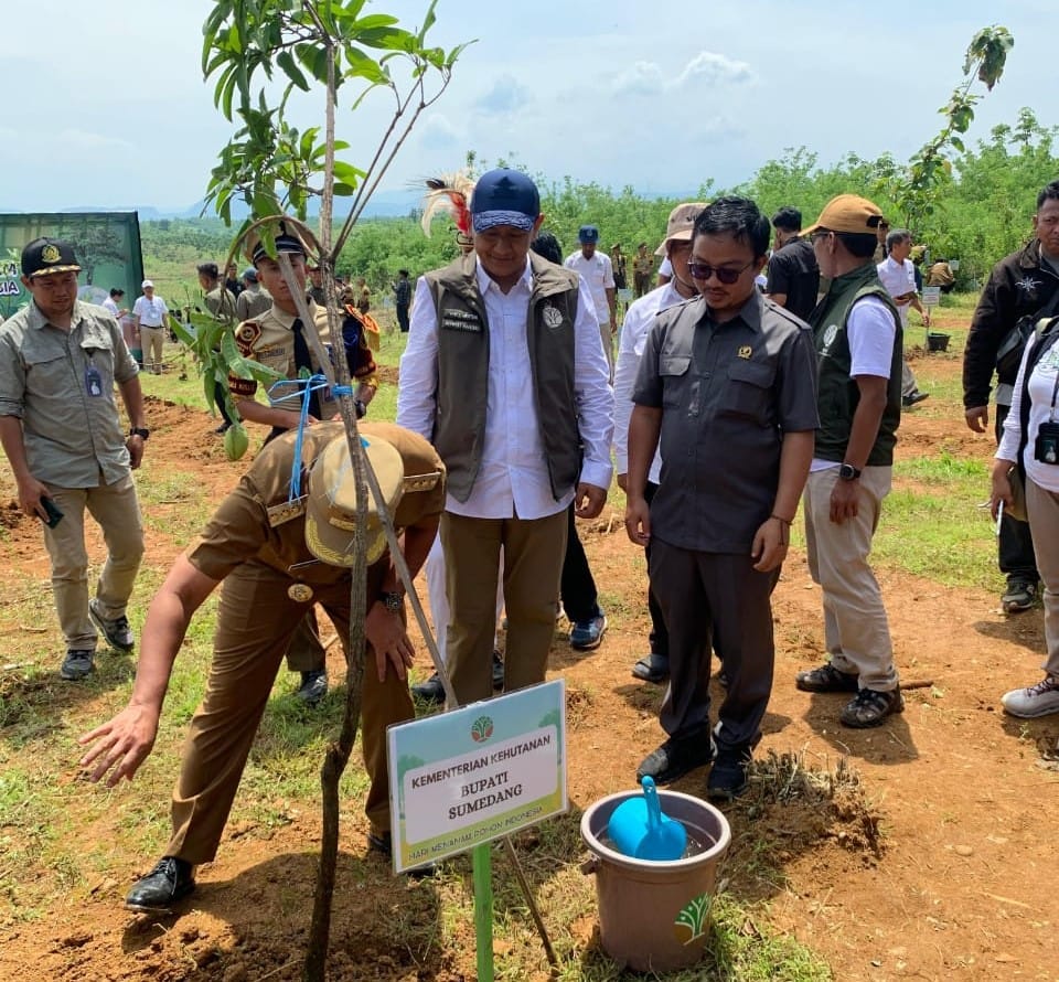 Perizinan Haurpapak Burujul Sanca