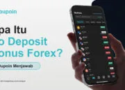 Benarkah Bisa Trading Tanpa Modal? Dupoin Jelaskan No Deposit Bonus Forex