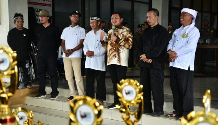 Gokil! Sumedang Jadi Pusat Perhatian di Kontes Ayam Pelung Nasional Mama Djakarsih Cup 2025