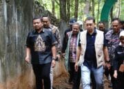 Revitalisasi Situs Gunung Palasari