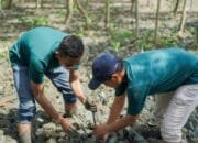 Perusahaan Tambang Pelat Merah Wajib Perkuat Operasional Bertanggung Jawab