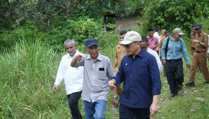 Didorong Kementan, Holding Perkebunan Nusantara Percepat Hilirisasi Gambir Nasional