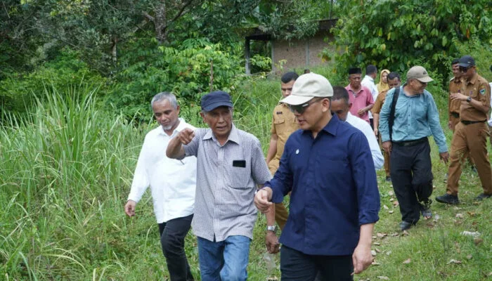 Didorong Kementan, Holding Perkebunan Nusantara Percepat Hilirisasi Gambir Nasional