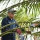 Holding Perkebunan Nusantara Siaga Hadapi Kemarau, PalmCo Perkuat Deteksi Dini Karhutla dan Strategi Agronomi